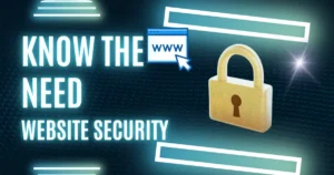 web security